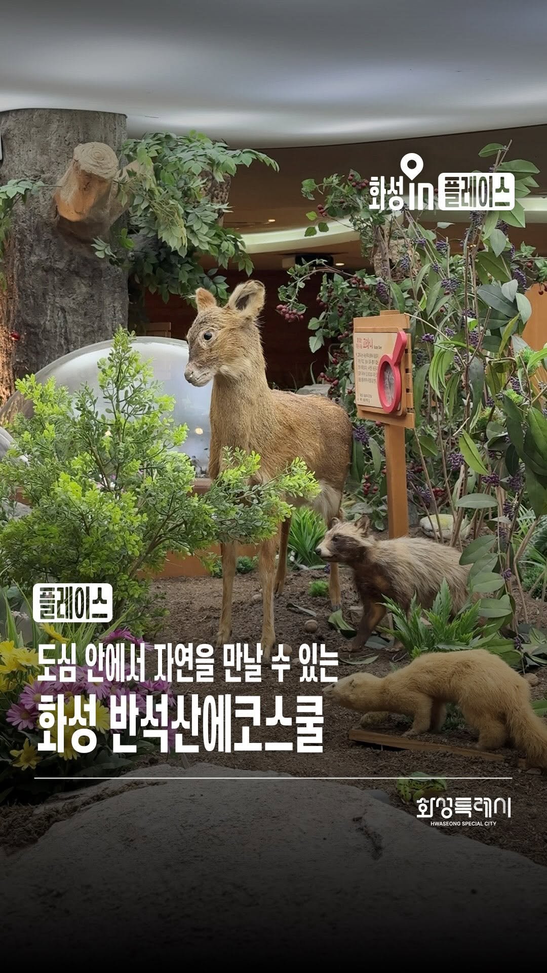 hwaseong_city 게시물 이미지: 겨울방학 화성에서 아이와 어디 갈지 고민된다면 ❄️
도심 안에서 자연을 만날 수...