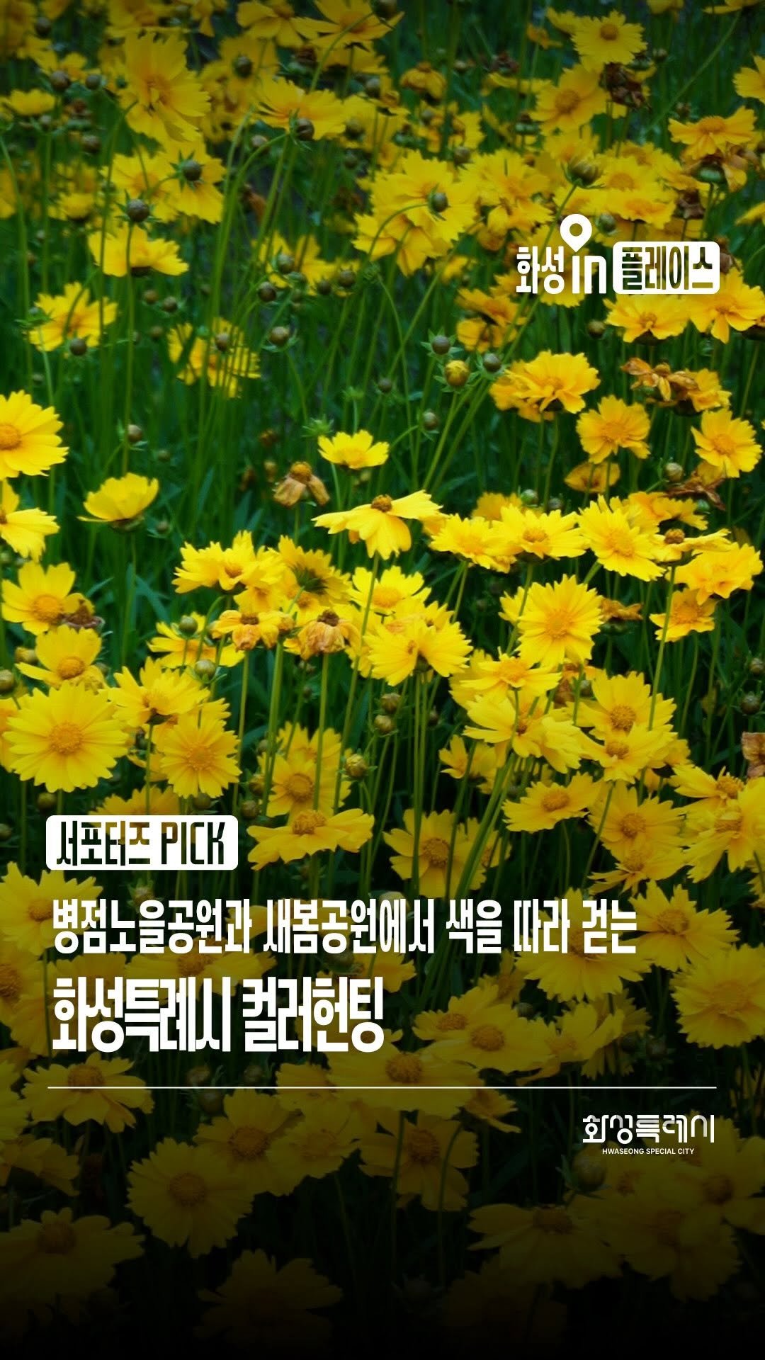 hwaseong_city 게시물 이미지: 📷 본 콘텐츠는 화성특례시 SNS 서포터즈가 취재했습니다.

화성특례시...