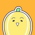 chamoe.kim 프로필 사진