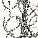 a.m.p.h.m.a 프로필 사진