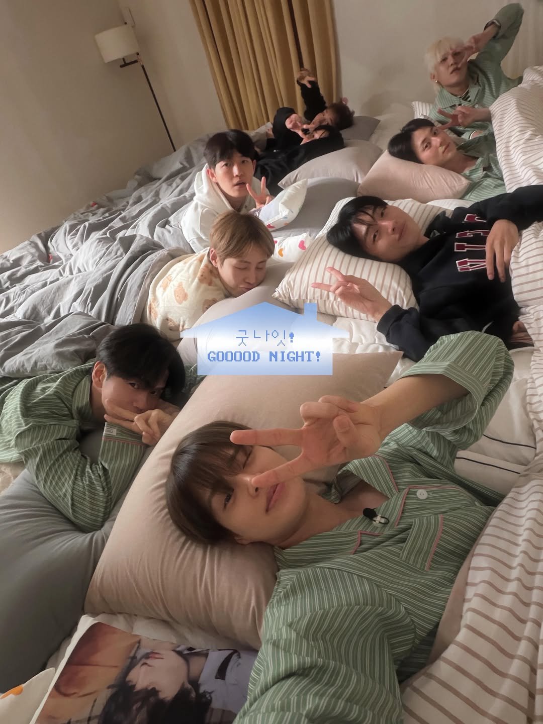 hwisosik 게시물 이미지: 🦓🩵
