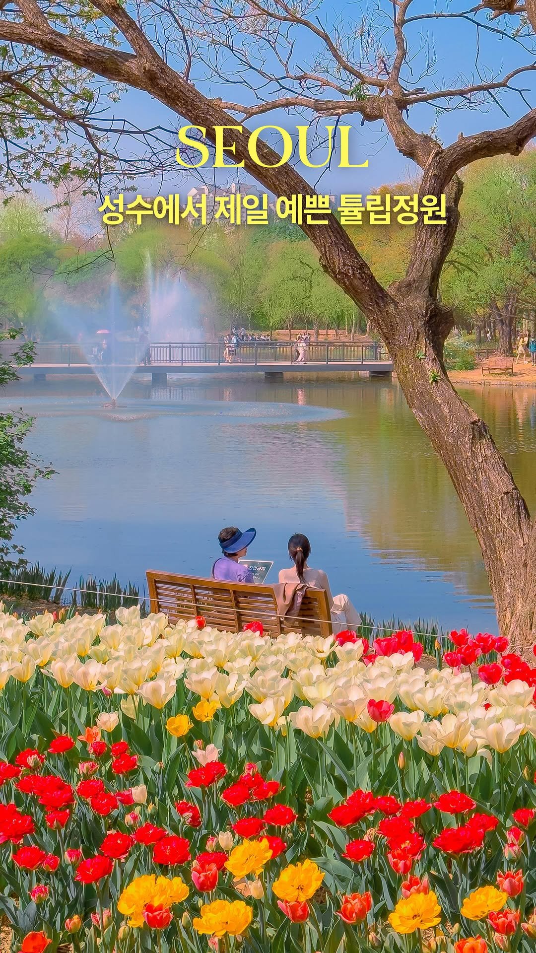 hwung_travel 게시물 이미지: [⚠️ 올해는 튤립축제 안한다고합니다!]
서울 도심에 이런 감성이..⋆˚꩜｡
2주...