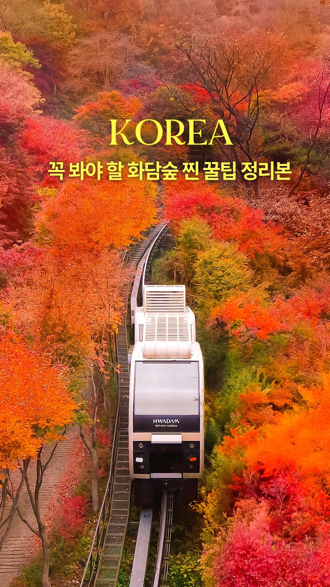 hwung_travel 게시물 이미지: 가을 화담숲 가기 전 꼭 보세요‼️찐꿀팁 총정리본
아래 꿀팁 다 풀었으니
방문 전...