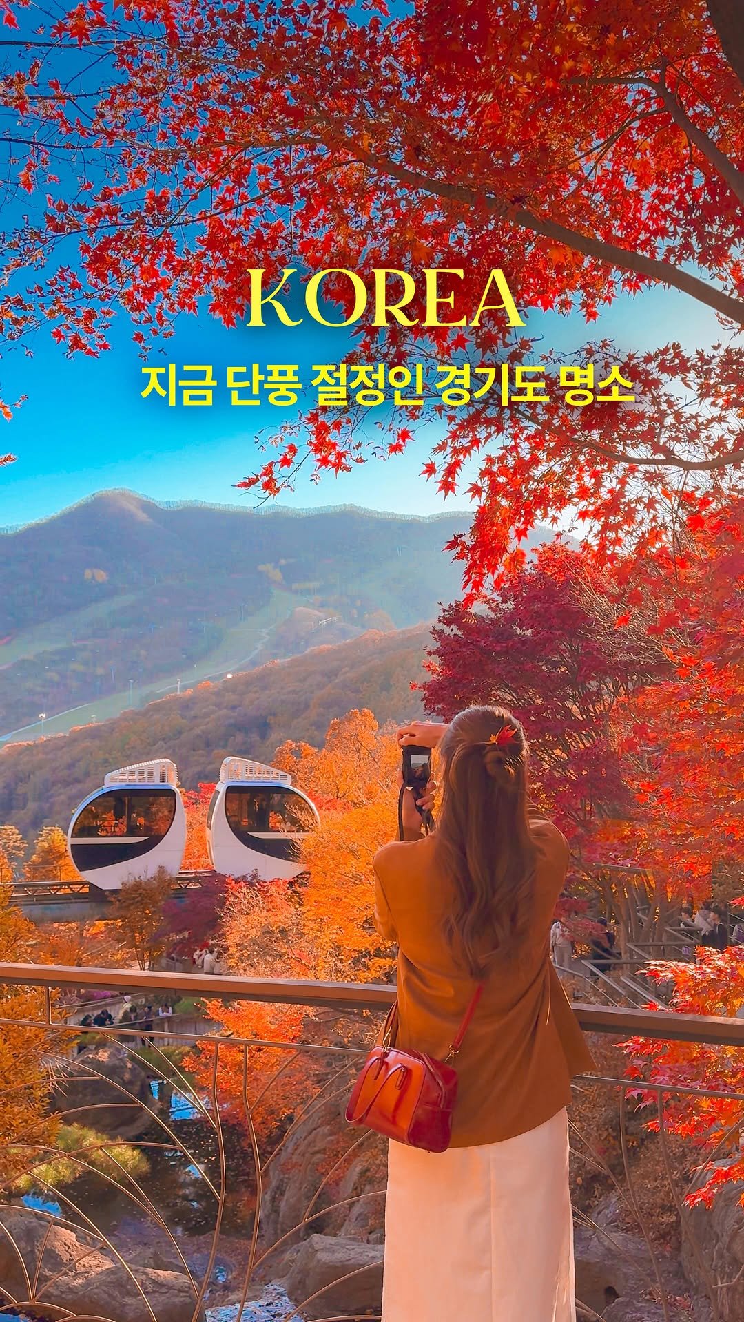 hwung_travel 게시물 이미지: 지금 놓치면 1년 기다려야하는
화담숲 단풍 지금이 피크‼️

갈까 말까 고민하고...