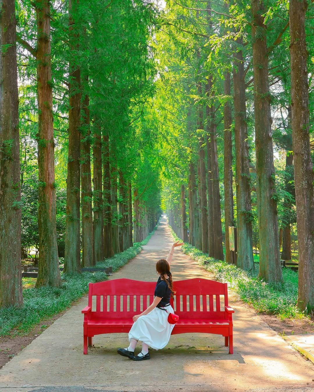 Photo by 훵 | 돈 없는 여행 중독자✈️ on August 01, 2025. May be an image of 1 person, bench, park and text.