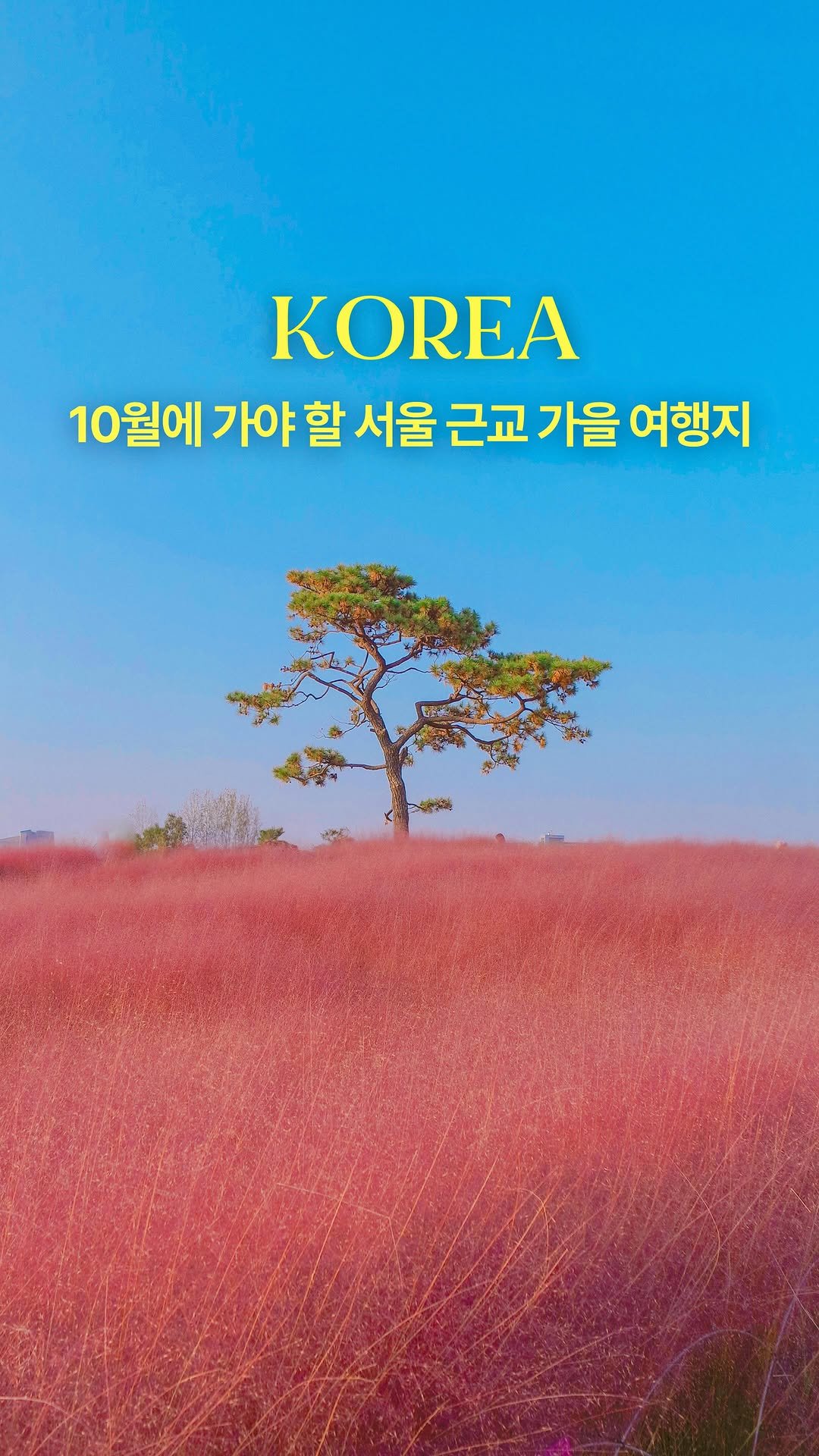 hwung_travel 게시물 이미지: 막 찍어도 인생샷‼️ 10월 데이트는 여기..💖

@알록달록 가을 나들이 갈...