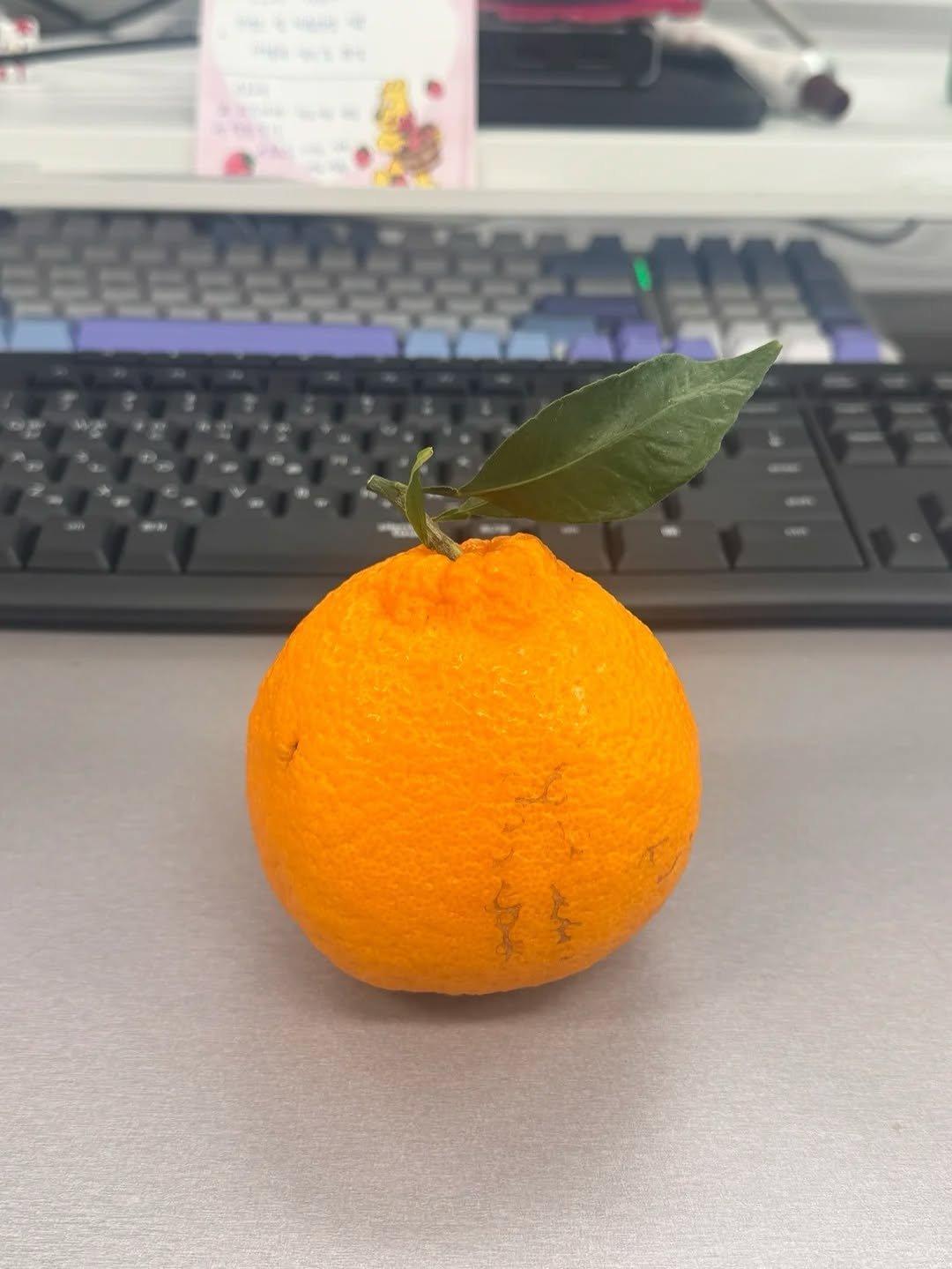 hxez.0.ji 게시물 이미지: 🍊