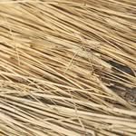 zipooragi.ent 프로필 사진