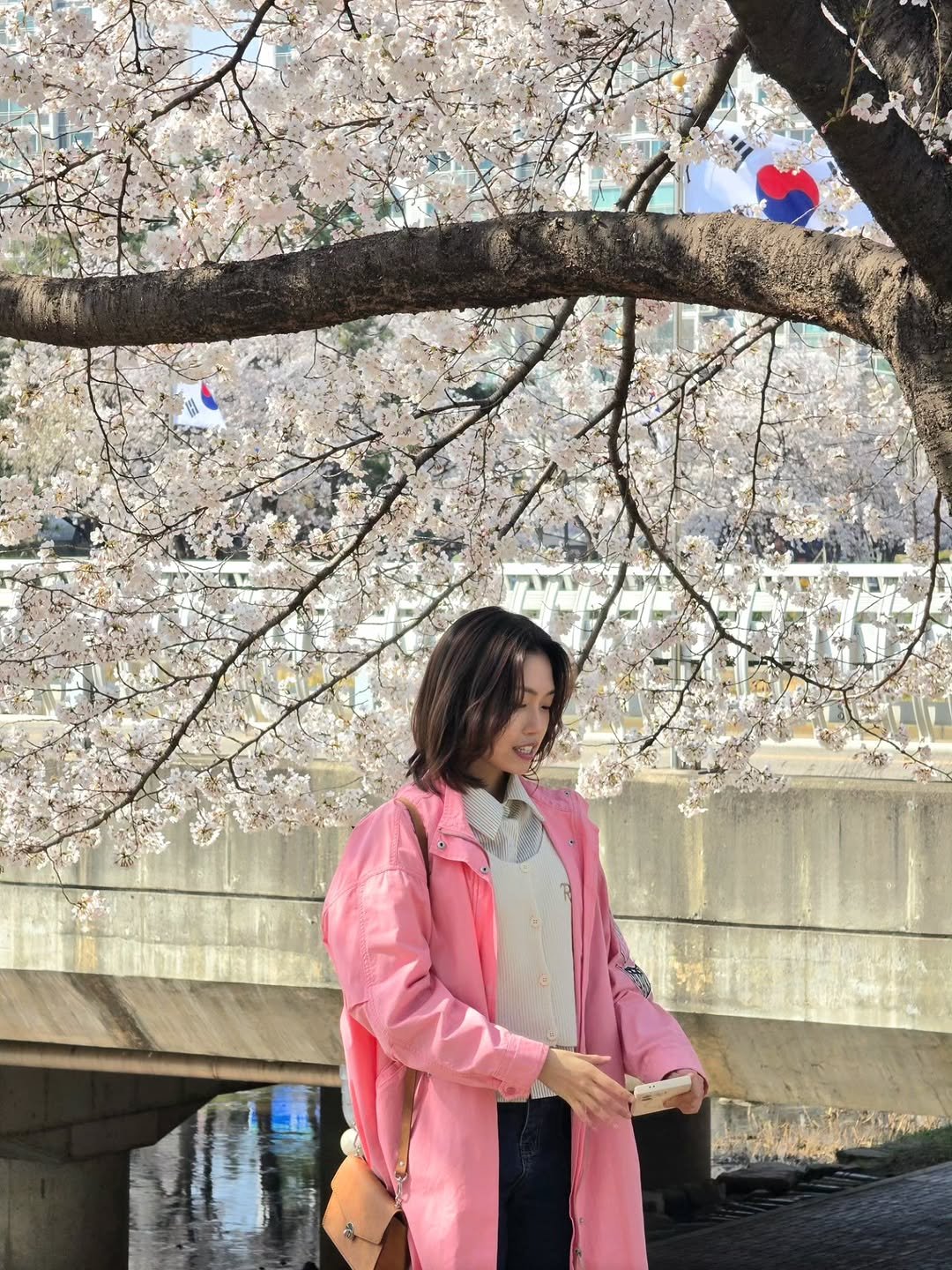 Photo by 강한나(HANNA) on April 05, 2026. May be an image of stone-fruit tree and text.