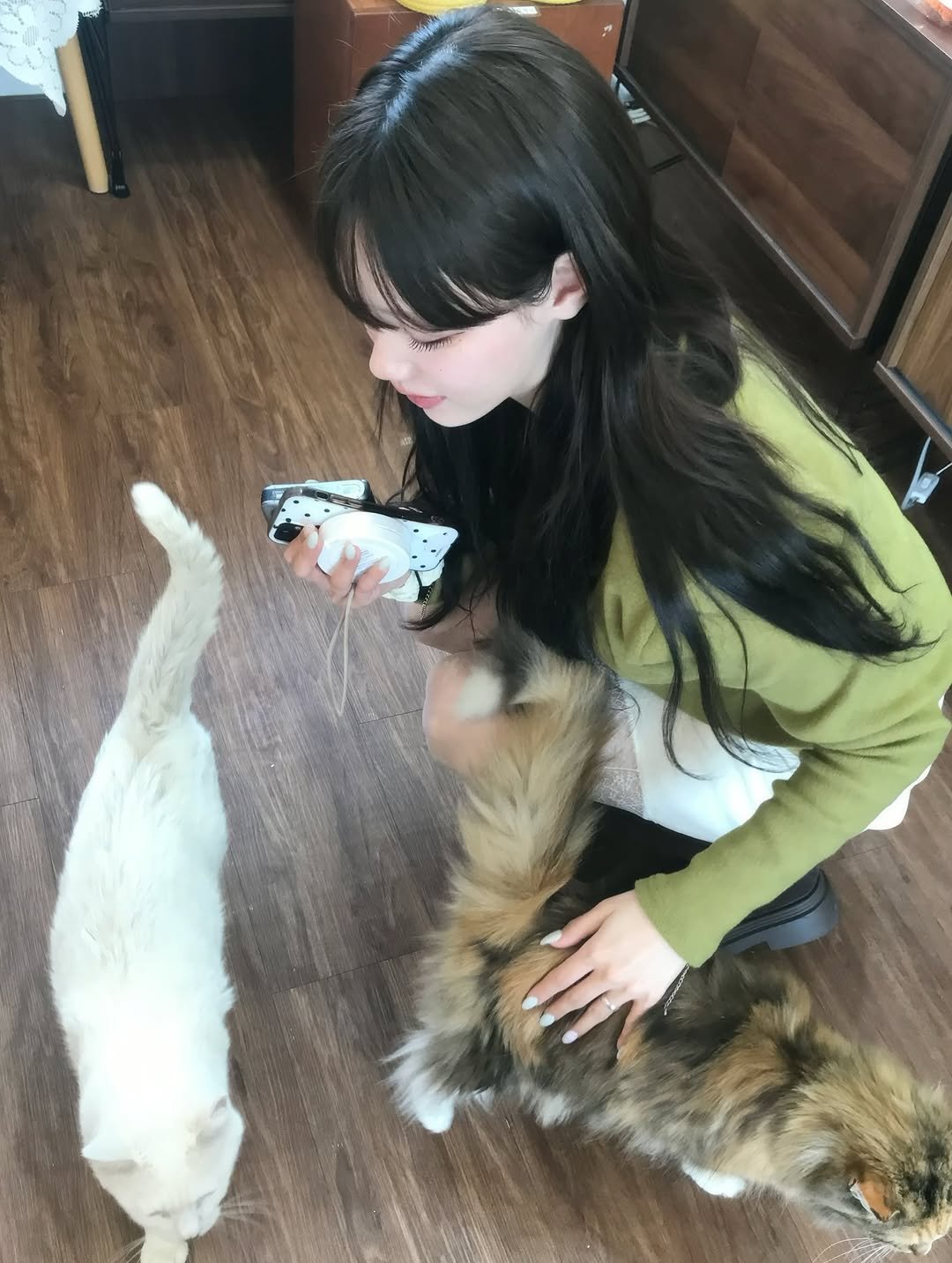 hy__ssi 게시물 이미지: 일상 모아모아 • • • 🪽🐈
