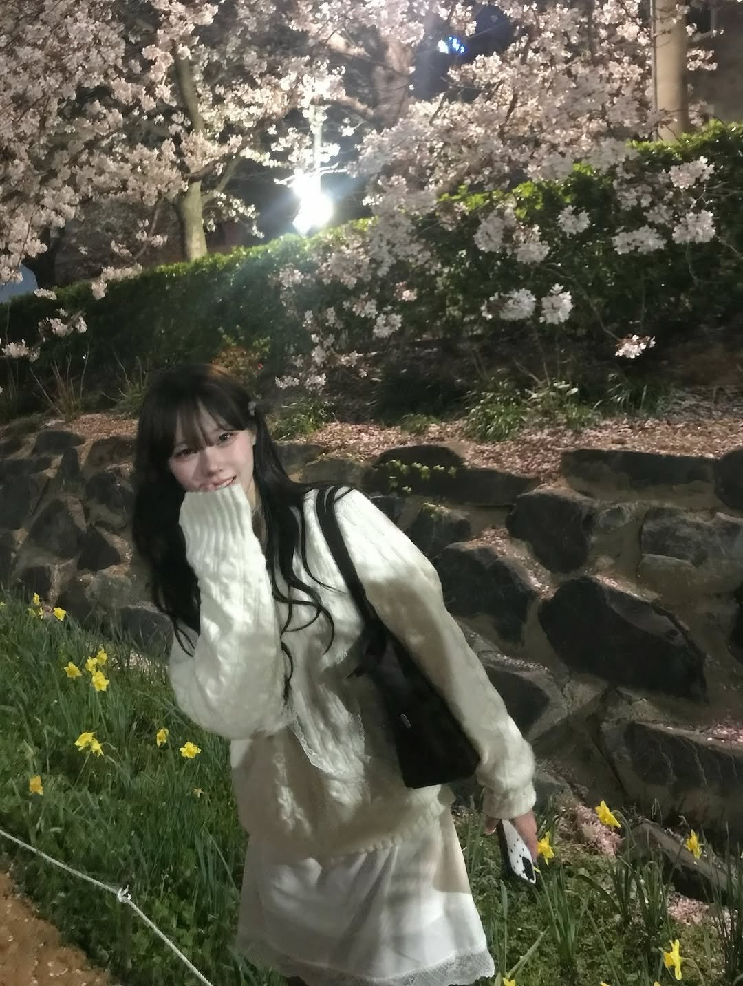 Photo by 뭐혜연 on April 07, 2026. May be an image of white lily, baby's-breath, stone-fruit tree and text.