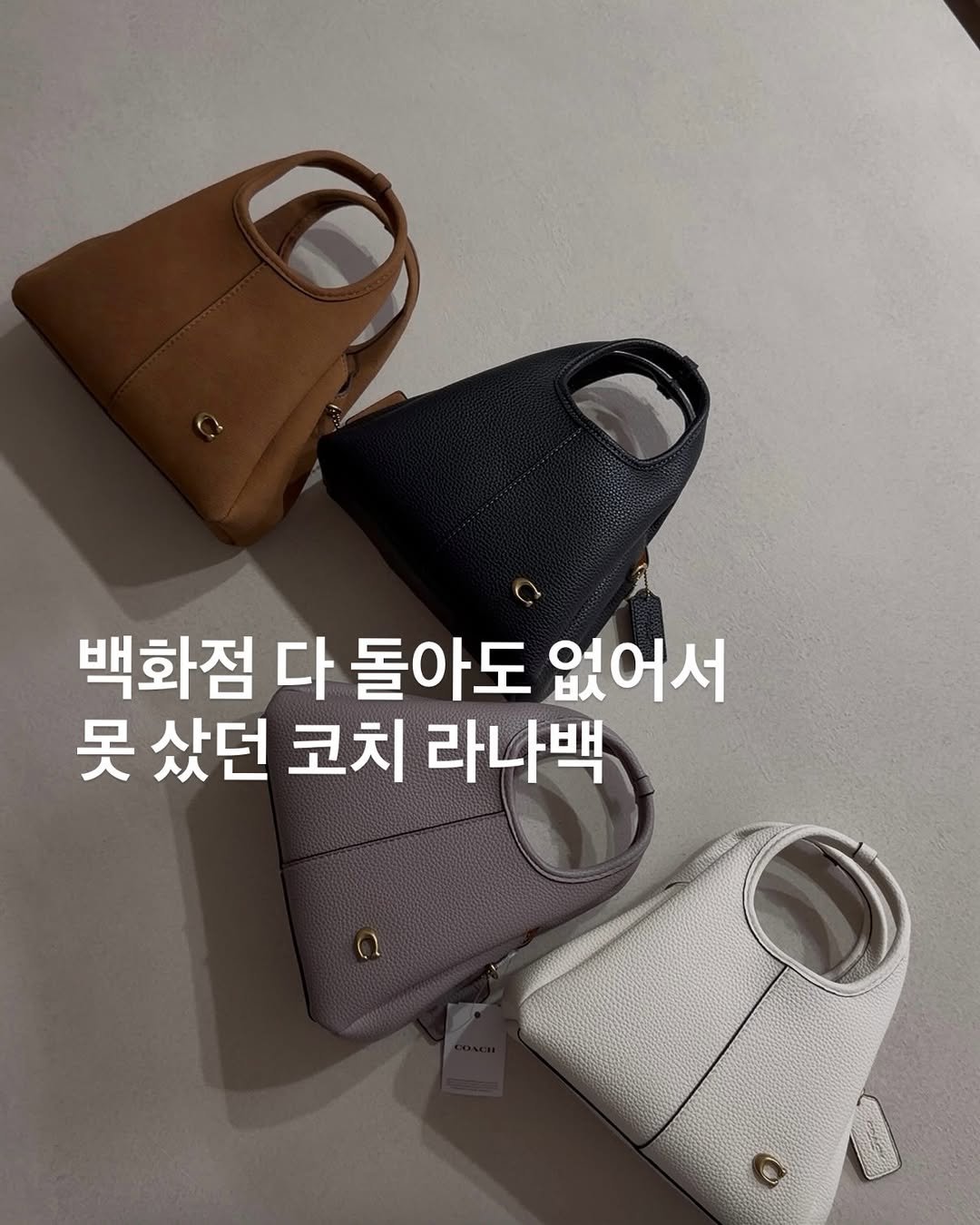 Photo shared by 반혜또 | 직장인 출근룩 코디👔 on February 12, 2026 tagging @hyeddo_cos. May be an image of purse and text that says '백화점 다 돌아도 없어서 못 샀던 코치 라나백'.
