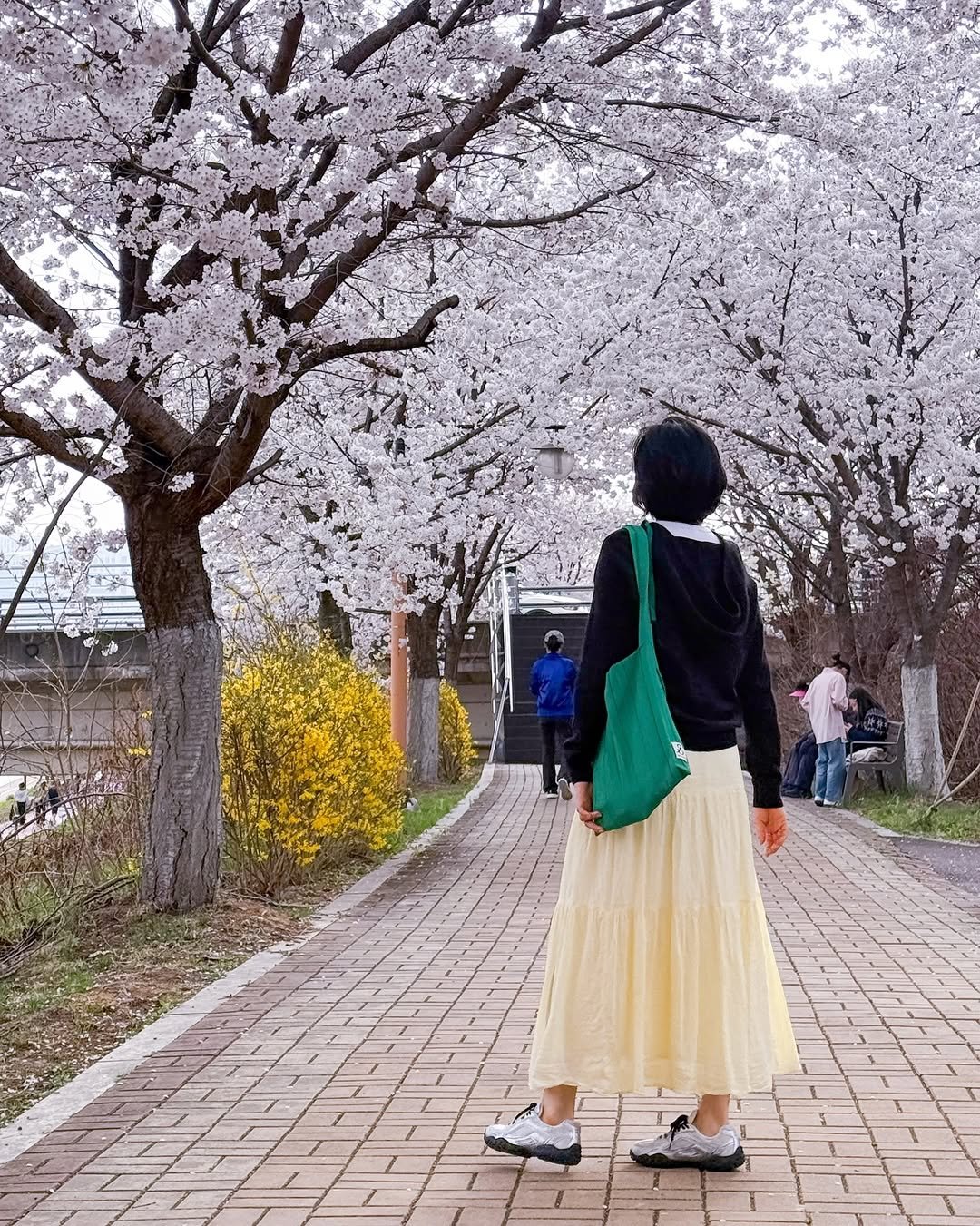 Photo by 혜혜홈 | 홈스타일링 • 정리수납 • 거실서재화 on April 14, 2026. May be an image of flower, stone-fruit tree, outdoors and text.