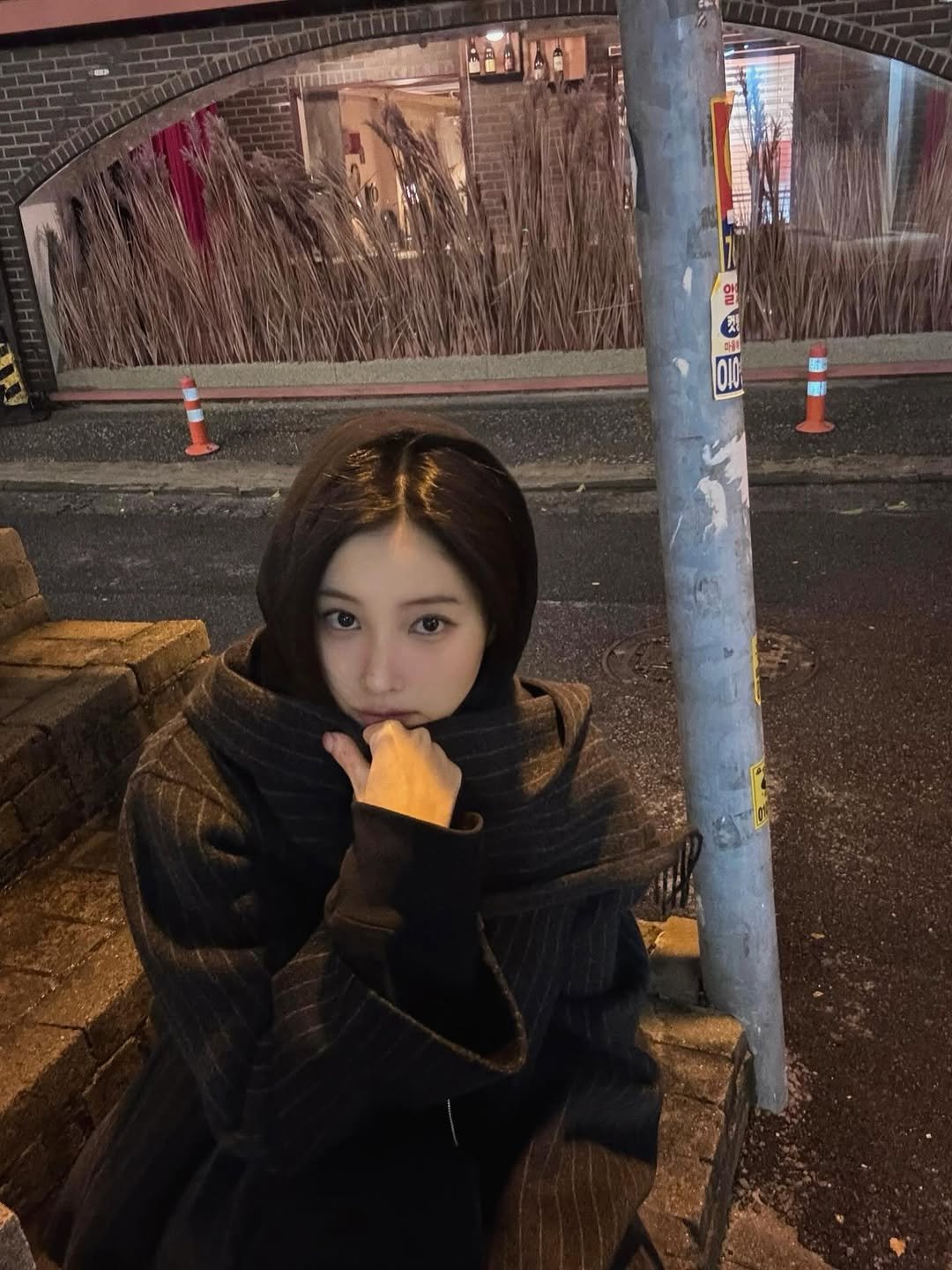 Photo by 강혜원 Kang hyewon on January 31, 2026. May be an image of one or more people, hair, duffle coat, overcoat, parka, turtleneck, street, Fushimi Inari Taisha, night and text.