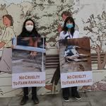 action_for_animals 프로필 사진