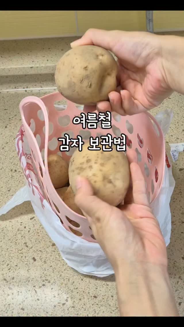hyerim_ys 게시물 이미지: 여름철 감자 보관법🥔 

감자는 한번 사면 양이 많아서
오래두고 먹게...