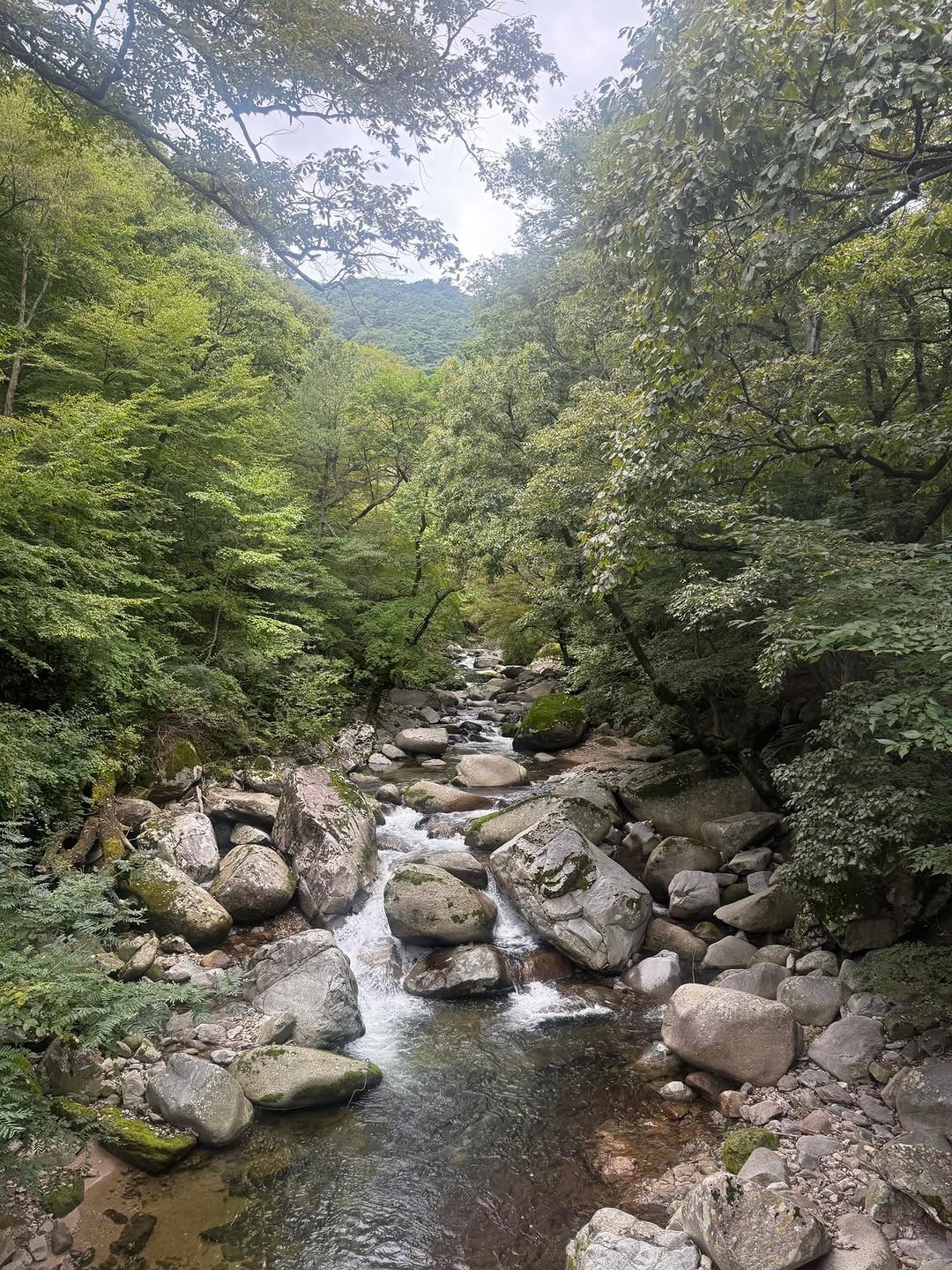 Photo by 도서출판 혜윰터/1인출판사/책/문화 on September 19, 2025. May be an image of text.