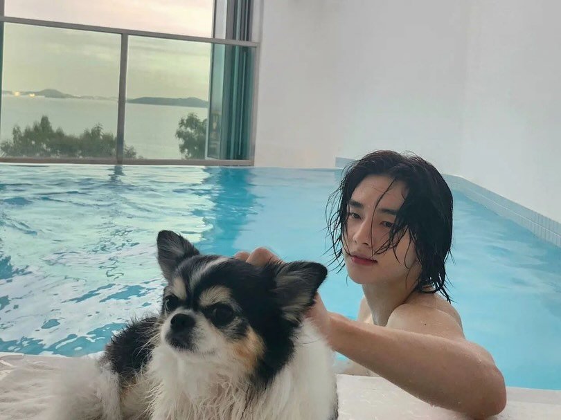 hynjinjyp 게시물 이미지: 🐾