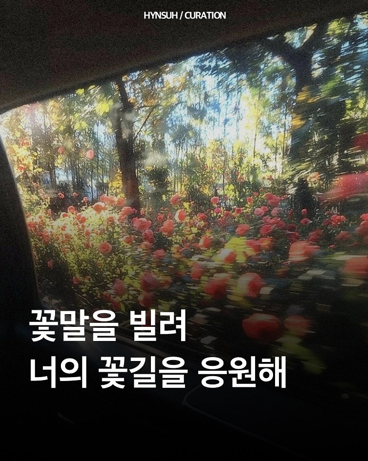 Photo by 김현서 on September 22, 2025. May be an image of text that says 'HYNSUH/CURATION HYNSUH/ CURATION 꽃말을 빌려 너의 꽃길을 응원해'.