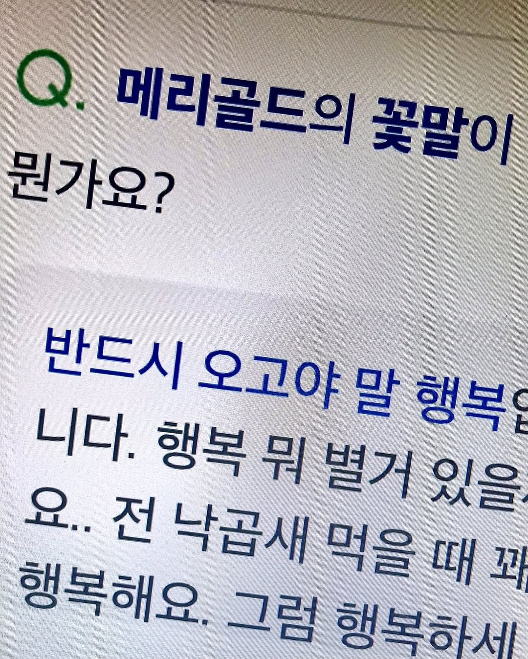 Photo by 김현서 on September 21, 2025. May be an image of text that says 'Q. 메리골드의 꽃말이 뭔가요? 반드시 오고야 니다. 행복뭐별거있을 행복뭐별 별거 있을 행복 오고야말행복 NL 행복 요.. 전 낙곱새 S 행복해요. 먹을때꼬 때 꼬 그럼 행복하세'.