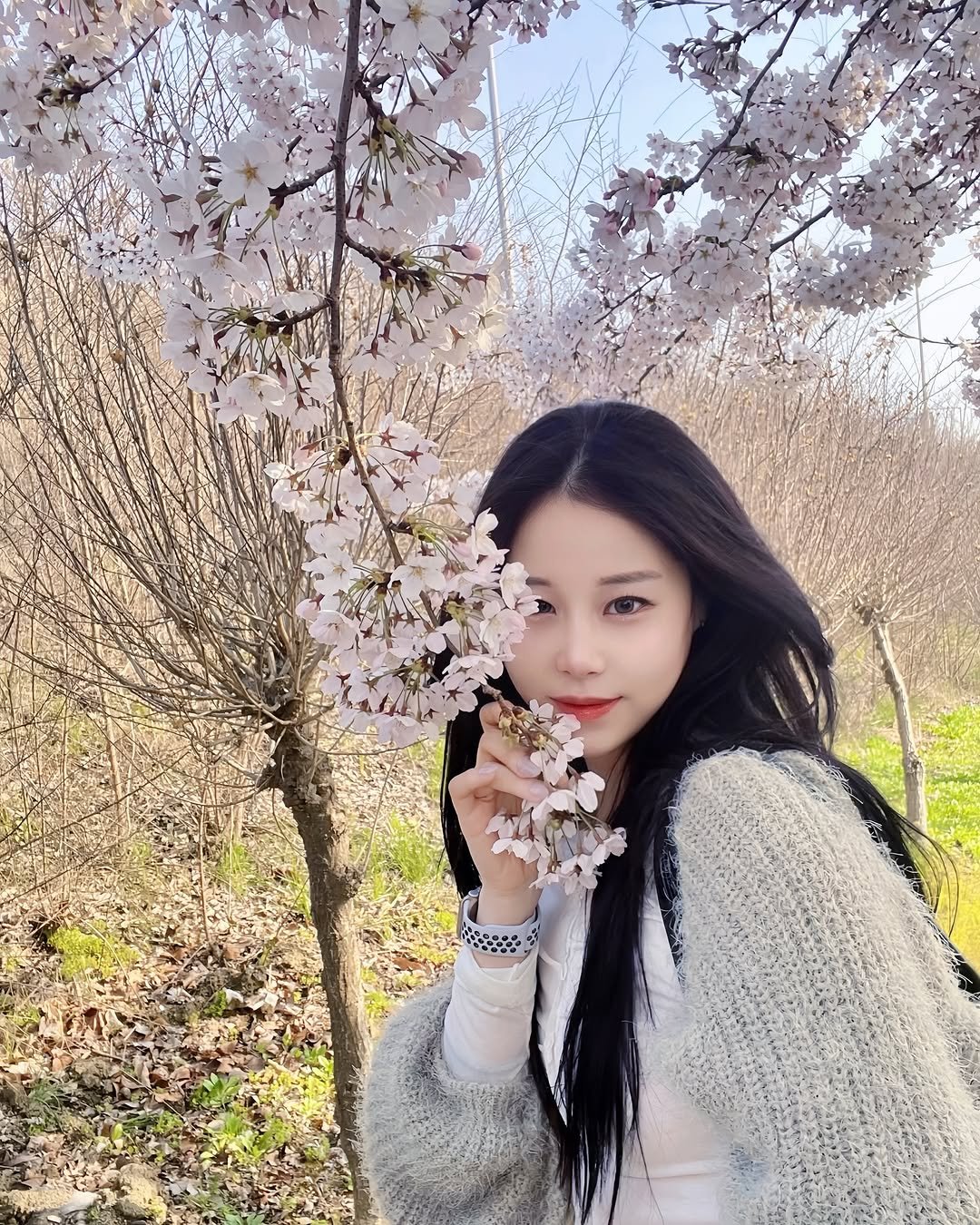 Photo by 김현서 on April 18, 2026. May be an image of stone-fruit tree, outdoors and text.