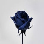 for_hopeless_romantic 프로필 사진