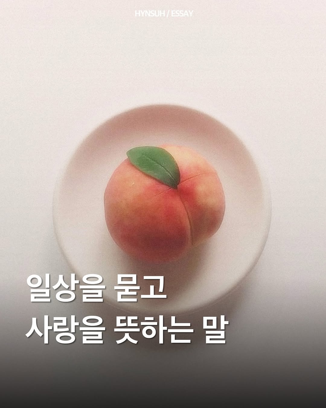 Photo by 김현서 on October 28, 2025. May be an image of text that says 'HYNSUH/ ESSAY 일상을 묻고 사랑을 뜻하는 말'.
