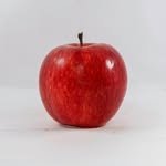 piecesofyunmi 프로필 사진