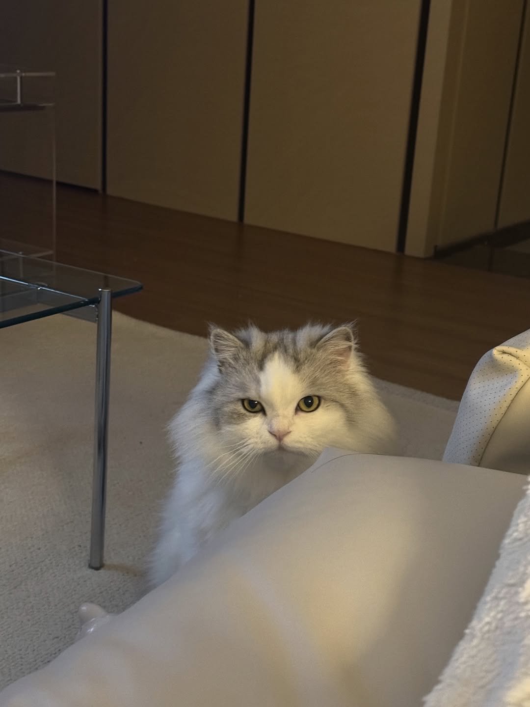 Photo by Hyoin Jeong on December 04, 2025.