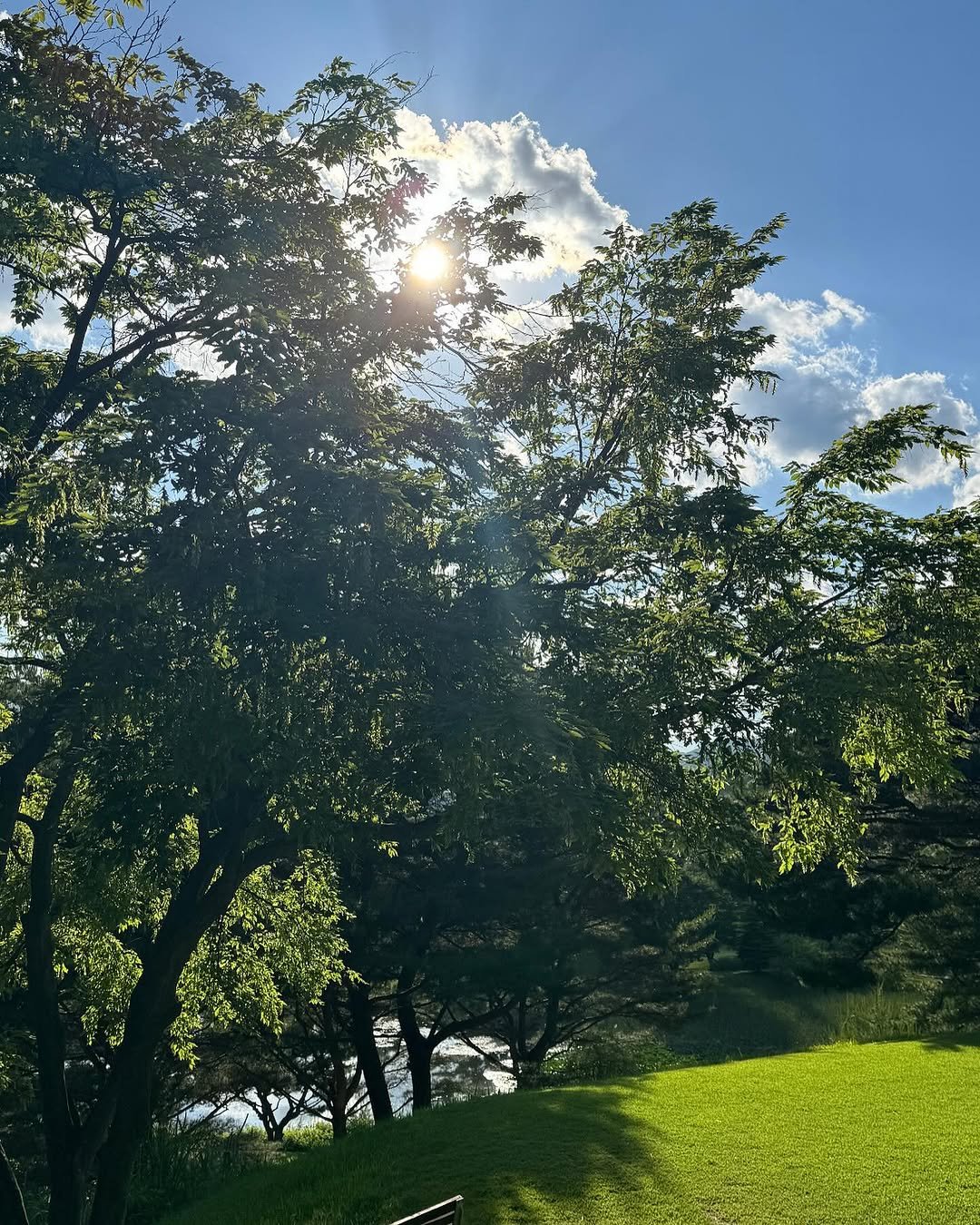 Photo by Hyoin Jeong on June 01, 2024.