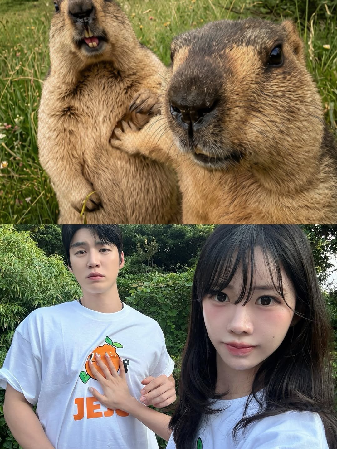 hyoris2 게시물 이미지: 유행 따라가기 바쁘다바빠!!!! 제주도에서🍊🧡🧡