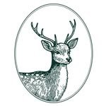 noilyskin 프로필 사진