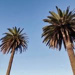 chillax__studio 프로필 사진