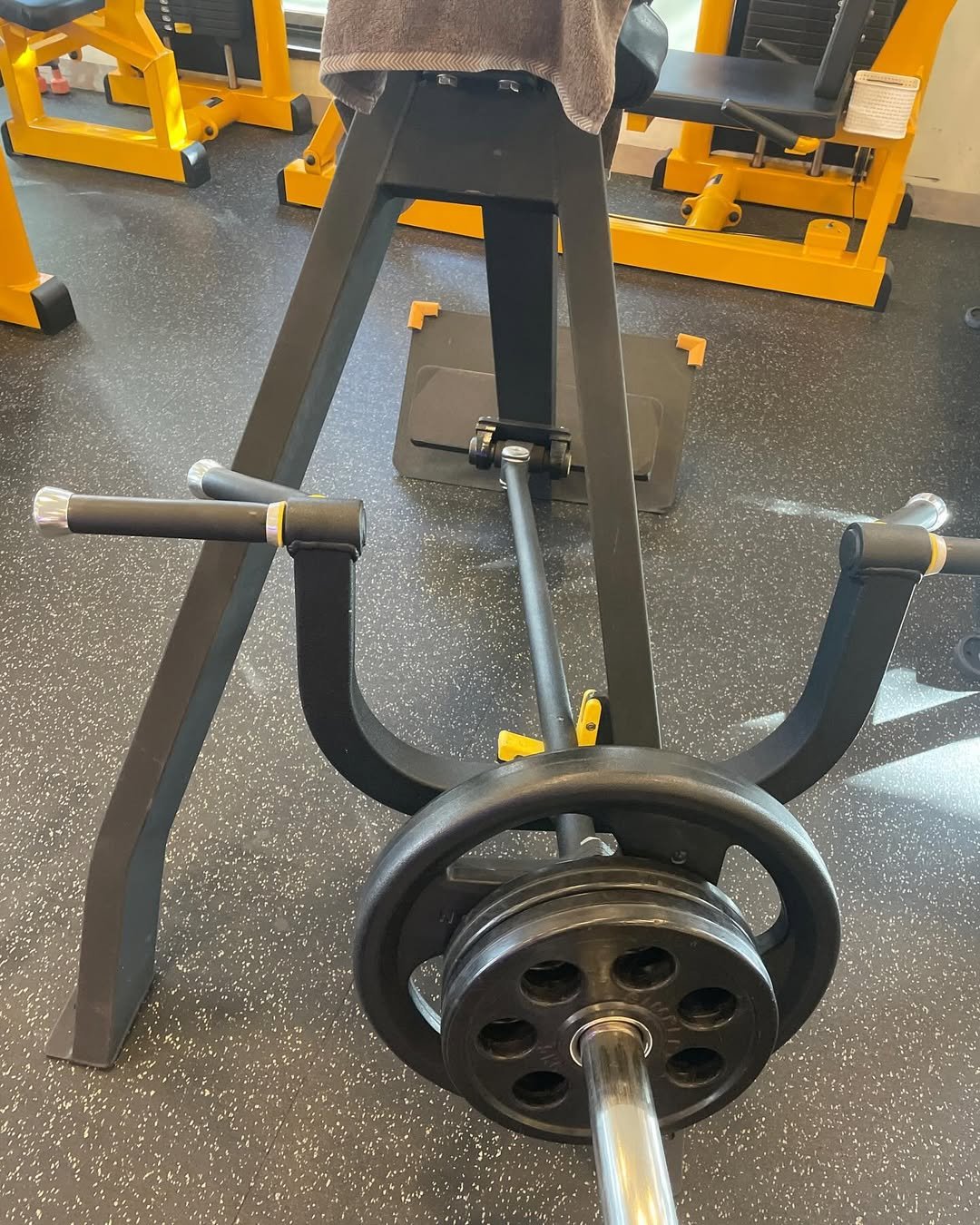 Photo by 강혁준 on November 10, 2024.