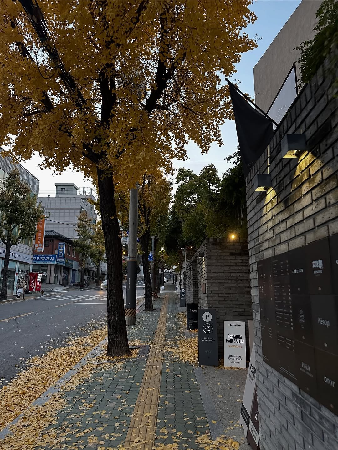 Photo by 김현아 on November 09, 2025.