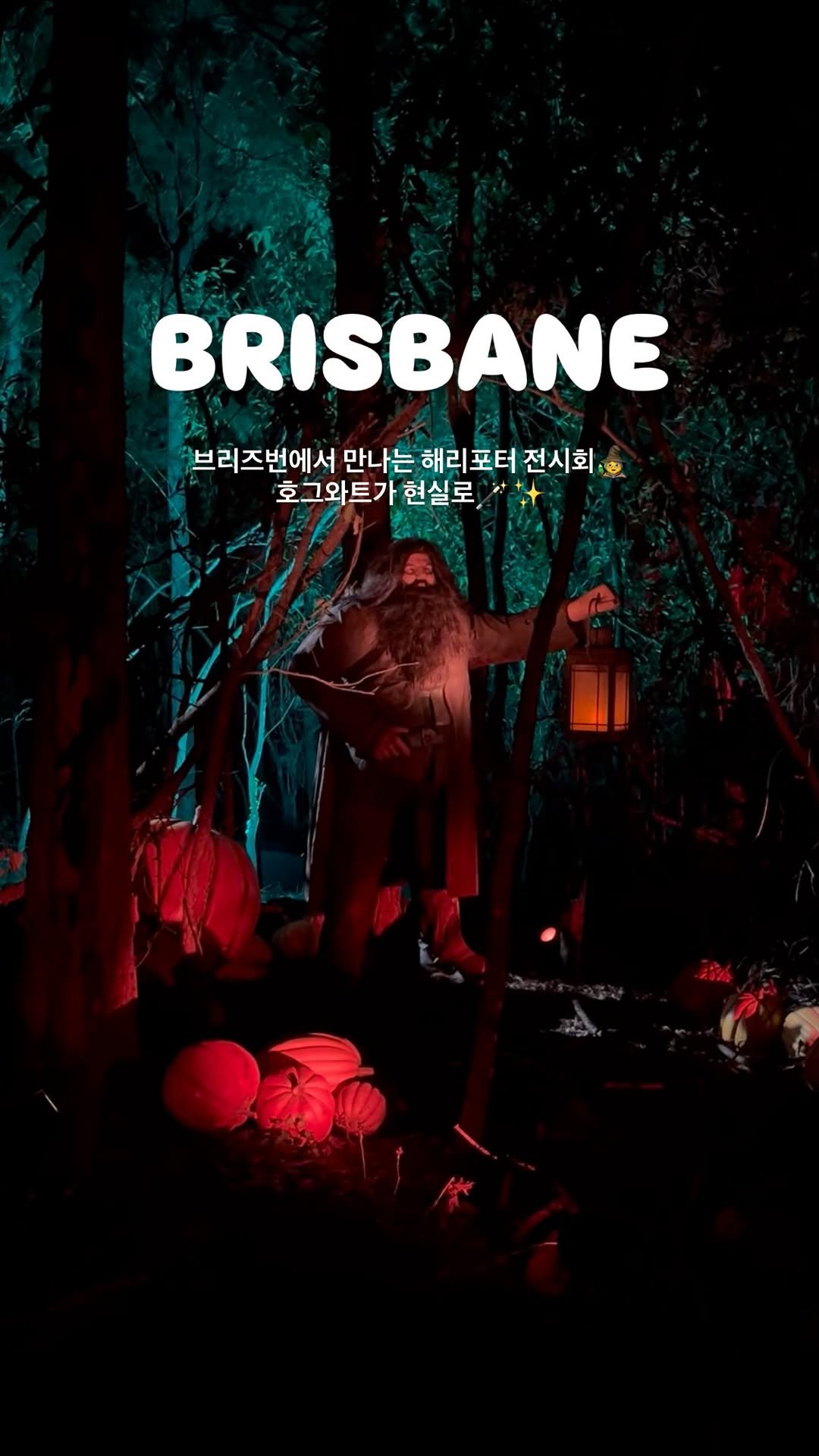 hyundaitravel 게시물 이미지: 해리포터 덕후들 모두 모여라!🙋♀️🪄
브리즈번에서 펼쳐지는 해리포터 특별...