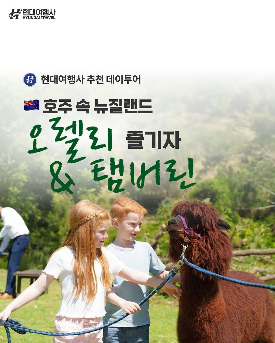 Photo by 호주 & 뉴질랜드 여행 I 호주 현지 전문 여행사 현대여행사 on August 13, 2025. May be an image of 3 people, poster, outdoors and text that says '현대여행사 HYUNDAI TRAVEL 현대여행사추천데이투어 현대여행사 추천 데이투어 호주속뉴질랜드 호주 속 뉴질랜드 오 젤리 즐기자 & 태버린'.