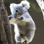 now_inaus 프로필 사진