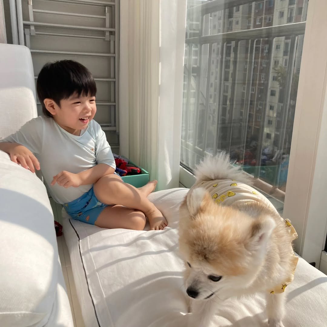 Photo by 홍현희 on February 15, 2026. May be an image of baby, Pekinese, Norwich terrier and diaper.