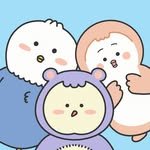 connectn_official 프로필 사진