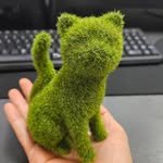 ykh_dp 프로필 사진