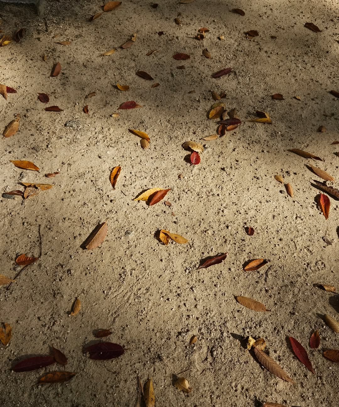 Photo by Hyunjoon Yoo in 도산공원. May be an image of text.