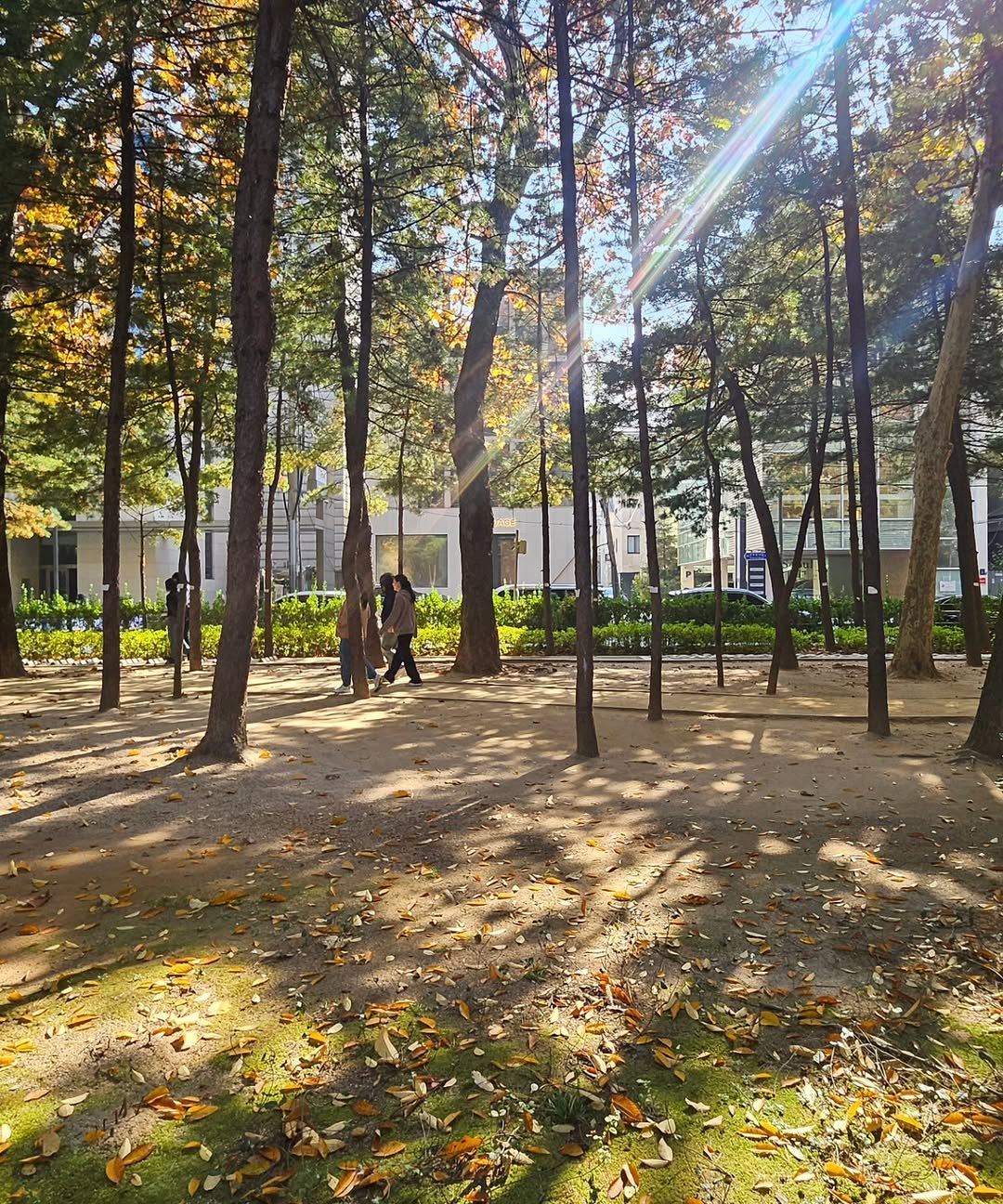 Photo by Hyunjoon Yoo in 도산공원. May be an image of park and text.