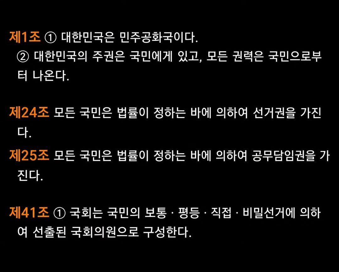 hyuny_pony 게시물 이미지: 국민의, 국민을 위한, 국민에 의한.
태극기를 흔들고 참정권을 되찾기 위한 외침이...