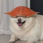 gaebuuul_ 프로필 사진