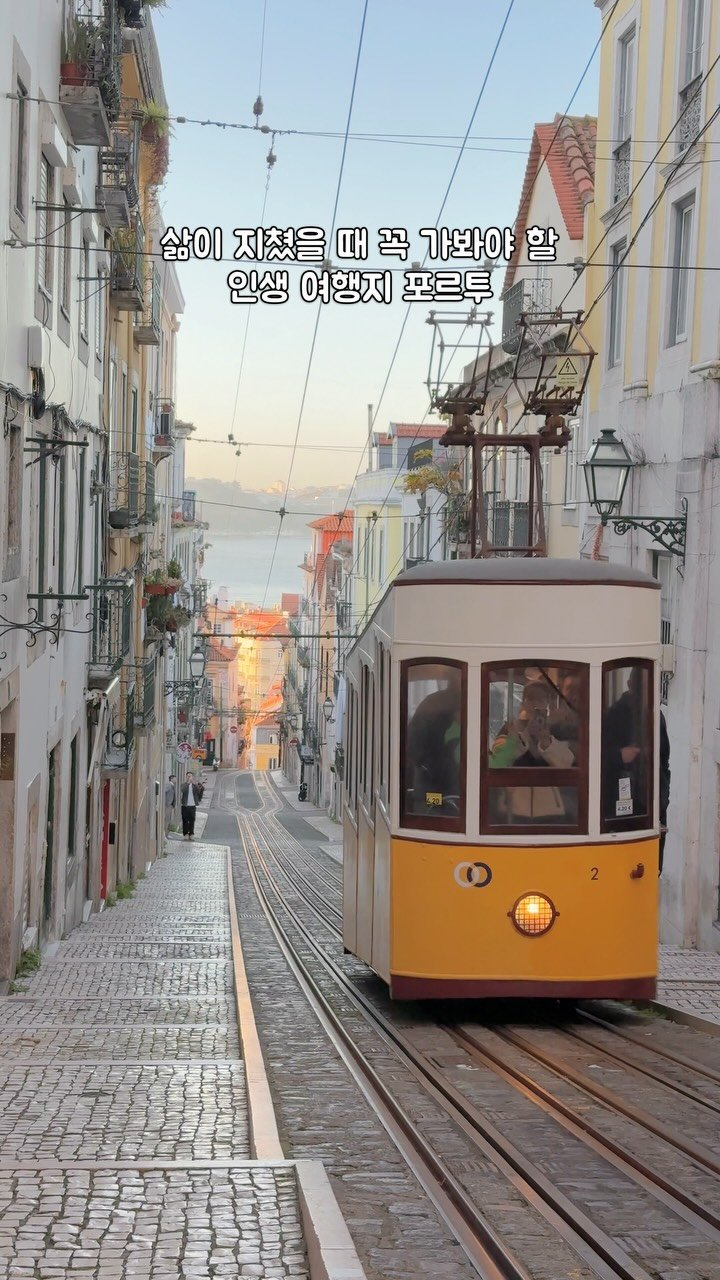 i0i88 게시물 이미지: 오늘 같은 날 보면 너무 행복한 여행 영상 
여행 영상을 다시 보면 그때의 나의...