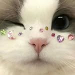 aluu_seowon 프로필 사진