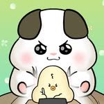 yoda_ari 프로필 사진