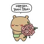 wadadabear 프로필 사진