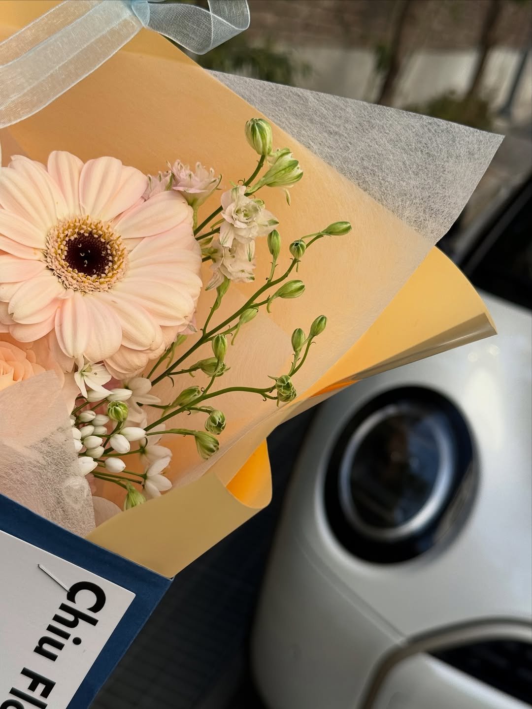 Photo shared by 미니쿠퍼 김은지팀장 on March 01, 2026 tagging @mini, @mini.korea.official, and @with._.mini. May be an image of baby's-breath, carnation, rose and text that says 'hi ስ'.